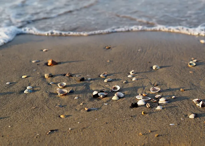 Modern Flat For 8 People With Swimming Pool Appartement *